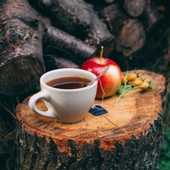 Гостевой дом  Четыре-Сезона, Республика Карелия