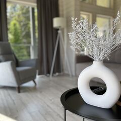 Коттеджный комплекс Ахинкоски, Республика Карелия