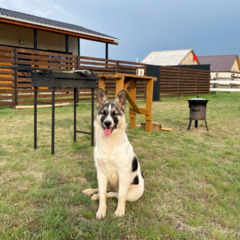 База отдыха и рыбалки Ихтис, Астраханская область