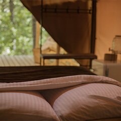 Глэмпинг Листья, Краснодарский край