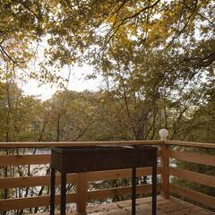 Глэмпинг Листья, Краснодарский край