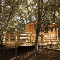 Глэмпинг Листья, Краснодарский край