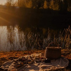 Глэмпинг Boho Camp, Ленинградская область
