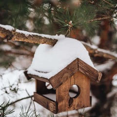 Глэмпинг Boho Camp, Ленинградская область