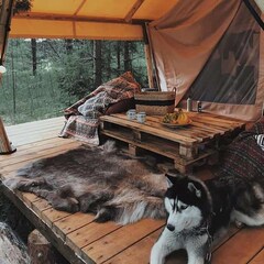 Глэмпинг Boho Camp, Ленинградская область