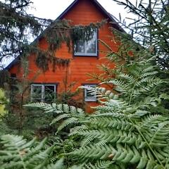 Гостевой дом EveGreen, Тверская область