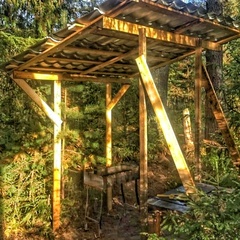 Гостевой дом EveGreen, Тверская область