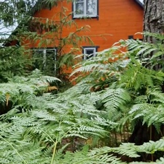 Гостевой дом EveGreen, Тверская область