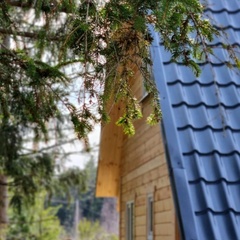 Гостевой дом EveGreen, Тверская область