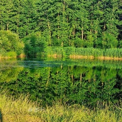 Гостевой дом EveGreen, Тверская область