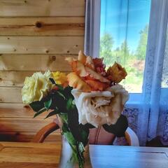 Гостевой дом EveGreen, Тверская область