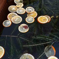 Глэмпинг Варилка, Нижегородская область