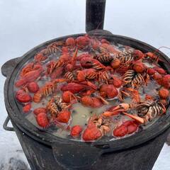 Глэмпинг Варилка, Нижегородская область
