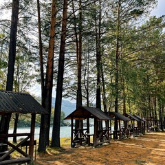 База отдыха Сила Алтая, Республика Алтай