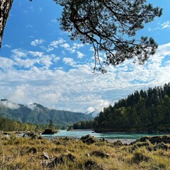 База отдыха Сила Алтая, Республика Алтай