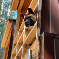 База отдыха Сила Алтая, Республика Алтай