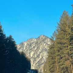 База отдыха Сила Алтая, Республика Алтай