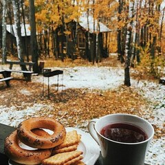 База отдыха Чайка, Московская область