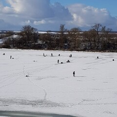 База отдыха Чайка, Московская область