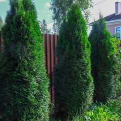 Коттедж VillaDoni, Ленинградская область