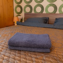 Коттедж VillaDoni, Ленинградская область