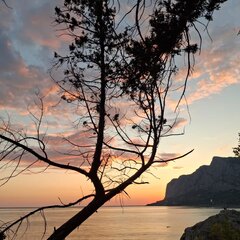 Пансионат Изумруд, Севастополь, Крым