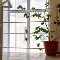 Гостевой дом ТвойОтель, Томская область