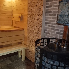 Дом с баней в Сосновом бору , Самарская область