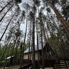 База отдыха Хвоя Эко, Самарская область