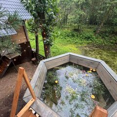 База отдыха Хвоя Эко, Самарская область