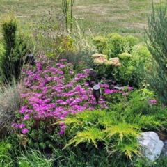 База отдыха Околица, Республика Адыгея