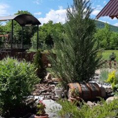 База отдыха Околица, Республика Адыгея