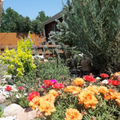 База отдыха Околица, Республика Адыгея