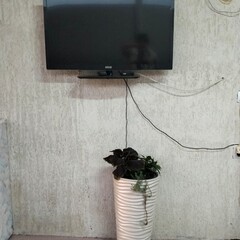 Гостевой дом АкваМария, Краснодарский край