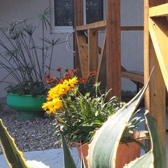 Гостевой дом АкваМария, Краснодарский край