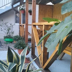 Гостевой дом АкваМария, Краснодарский край