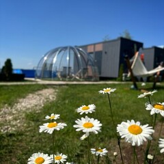 Глэмпинг Вид, Татарстан