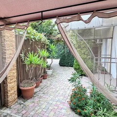 Гостевой дом Солнечный, Анапа, Краснодарский край