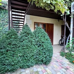 Гостевой дом Солнечный, Анапа, Краснодарский край