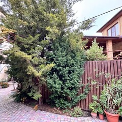Гостевой дом Солнечный, Анапа, Краснодарский край