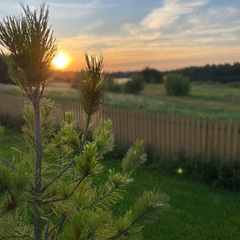 База отдыха Сювеярви резорт, Ленинградская область