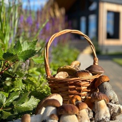 База отдыха Сювеярви резорт, Ленинградская область