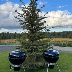 База отдыха Сювеярви резорт, Ленинградская область