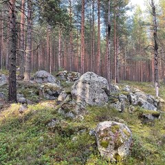 Вилла Mirahome, Республика Карелия