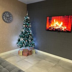 Вилла Mirahome, Республика Карелия