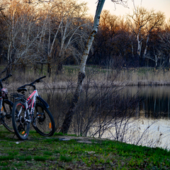 Глэмпинг The Pole, Московская область