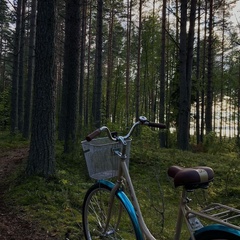 Глэмпинг Точка Притяжения, Республика Карелия