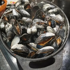 Глэмпинг Точка Притяжения, Республика Карелия