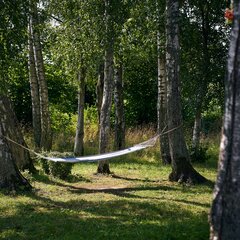 Эко-отель Лосиный двор, Калининградская область