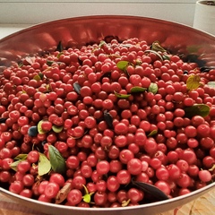 Гостевой дом Йокихутор, Республика Карелия